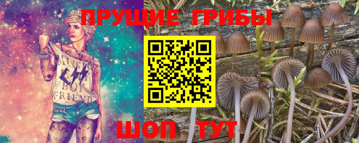 Когалым  Галлюциногенные грибы GOLDEN TEACHER  Вход с VPN 